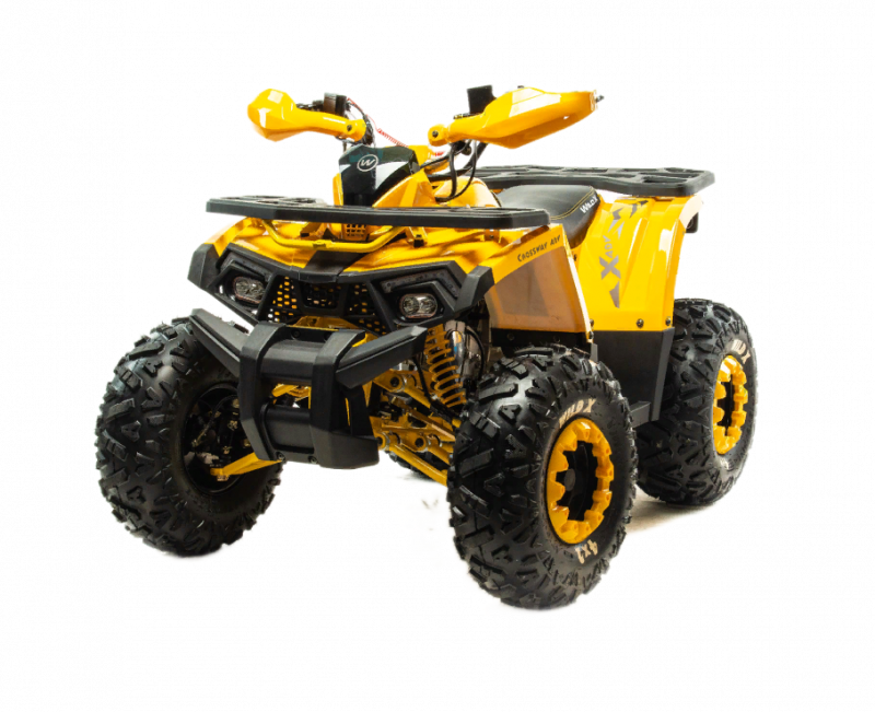 Лучший квадроцикл 125 кубов Motoland Wild X 125 — Красный