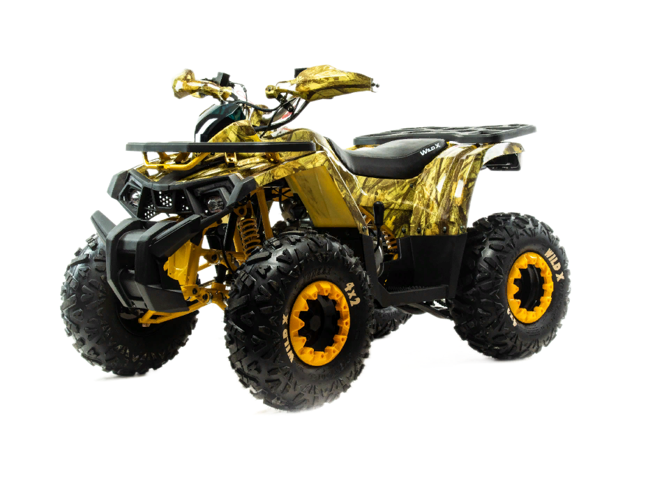 Лучший квадроцикл 125 кубов Motoland Wild X 125