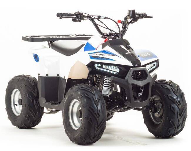 Квадроцикл 110 кубов MUDHAWK FXmoto