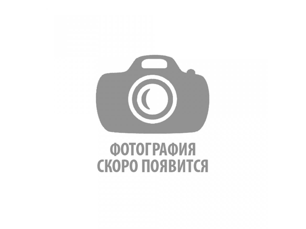 Питбайк ZUUMAV FX K 1.0 90cc