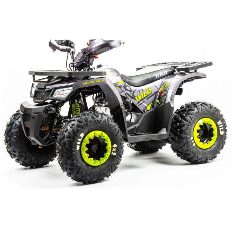 Квадроцикл Motoland  125 WILD BASIC A