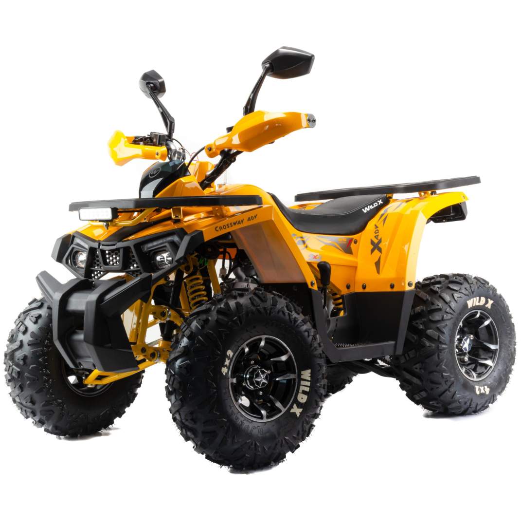 Квадроцикл Motoland  125 WILD X PRO