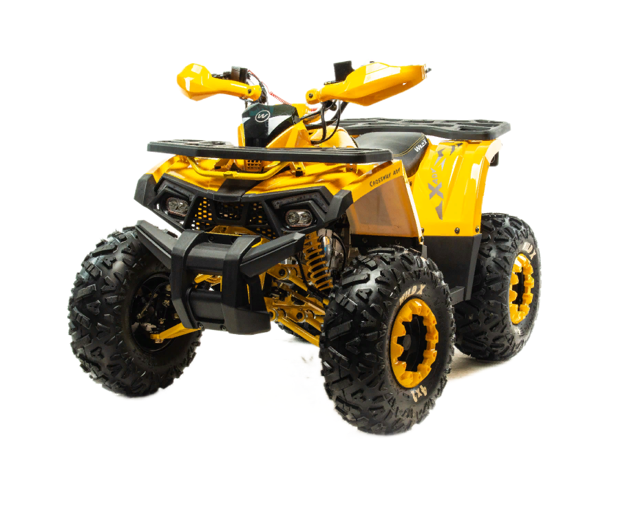 Лучший квадроцикл 125 кубов Motoland Wild X 125 — Жёлтый