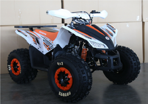 Квадроцикл COYOTE 125 куб