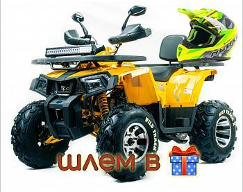 Motoland WILD TRACK X Pro 200