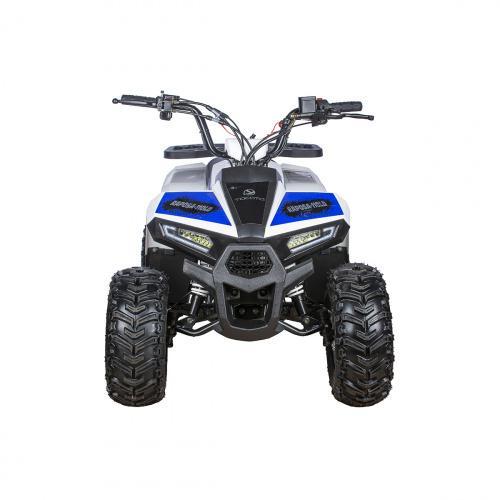 Детский квадроцикл YACOTA RAPOSA