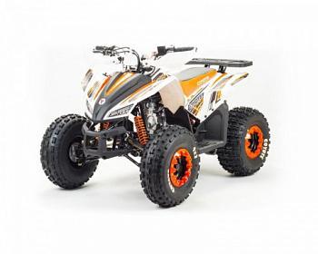 Квадроцикл COYOTE 150