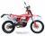 Эндуро мотоцикл Regulmoto Holeshot Red Edition (4 valves) с птс