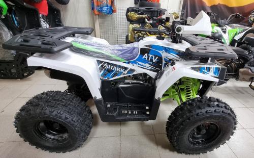 Квадроцикл Motoland Shark 125
