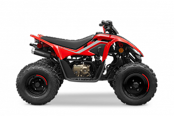 Детcкий квадpоцикл СFМOТО СFОRCЕ 110