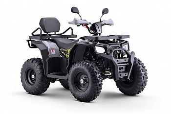 Фото квадроцикла BRZ Barkhan 200