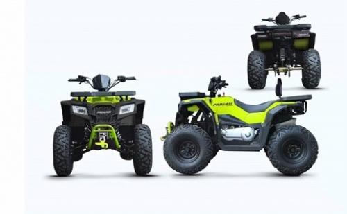 Квадроцикл Progasi RaceJumper MaxPower 200 с баланс валом.