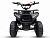 Детский бензиновый квадроцикл GRIZLIK MIDI ЕS BW