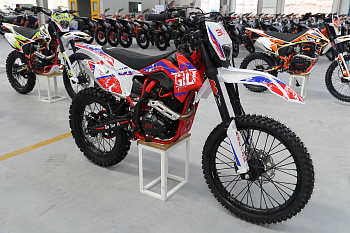 Фото кроссового мотоцикла GTO SHORT Patriot 300