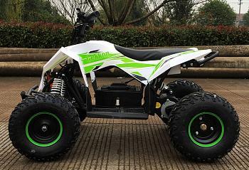 детский квадроцикл геккон