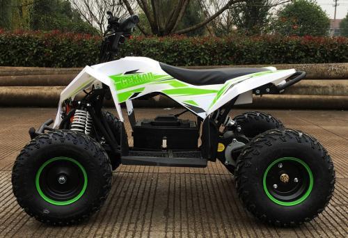 Детский квадроцикл MOTAX GEKKON 1300W, бело-зеленый