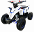 Детский бензиновый квадроцикл MOTAX GEKKON 70 куб.(1+1)
