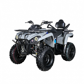 Фото квадроцикла Avantis Forester Long