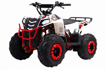 Квадроцикл WELS Thunder evo M 110 Квадроцикл WELS Thunder evo M 110