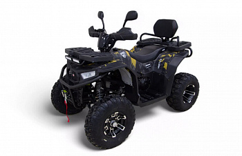 Квадроцикл MOTAX GRIZLIK W200 LUX 