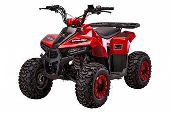 Детский квадроцикл YACOTA RAPOSA