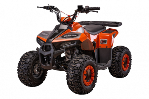 Детский квадроцикл YACOTA RAPOSA