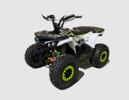 Квадроцикл YACOTA FUSION PRO 125 NEW зеленый
