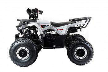 Купить Квадроцикл Motoland 125 STORM 