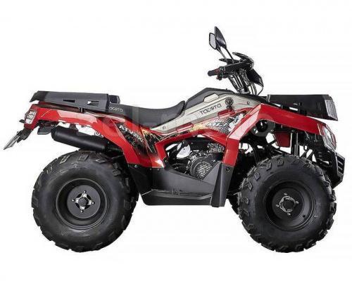 Купить квадроцикл 200 кубов Yacota Cabo 200