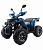 Квадроцикл Motoland  125 WILD X PRO
