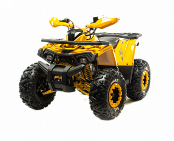 Motoland wild X 125 куб