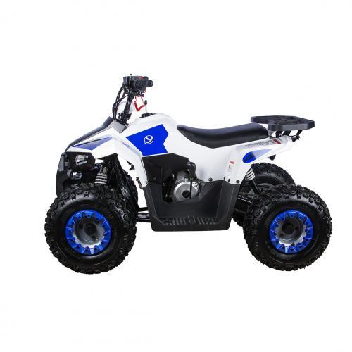 Детский квадроцикл YACOTA RAPOSA