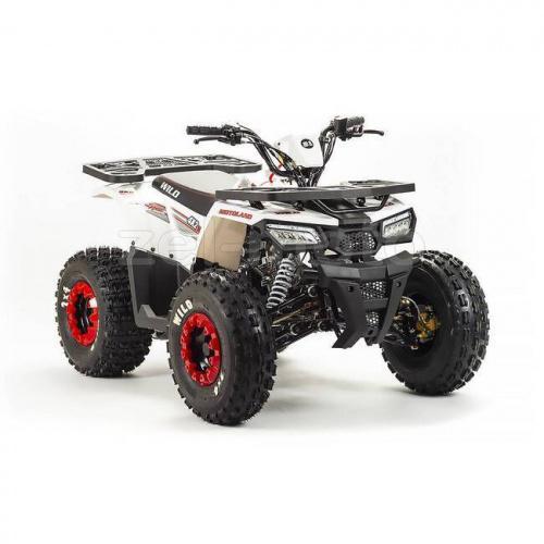 Подростковый квадроцикл Вайлд 125