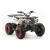 Подростковый квадроцикл Вайлд 125