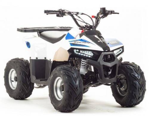 Квадроцикл MUDHAWK 110 Белый Квадроцикл MUDHAWK 110 Белый