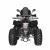 Квадроцикл XMR 200 Lux