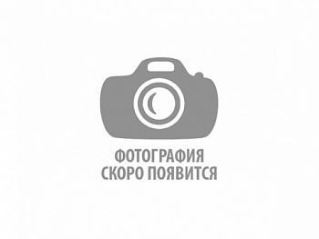 Квадроцикл HUNTER 150PRO