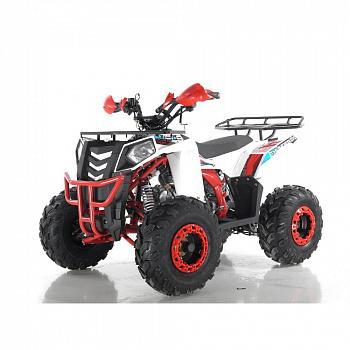 Детский бензиновый квадроцикл Wels THUNDER EVO 125  