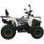 Квадроцикл Bro Mikilon Hammer 200