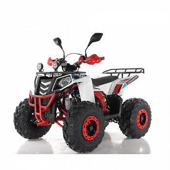 Квадроцикл для подростков Wels THUNDER EVO X ST 125 куб